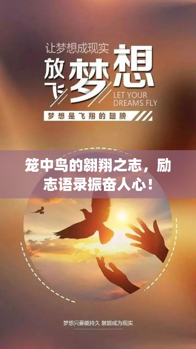 笼中鸟的翱翔之志，励志语录振奋人心！