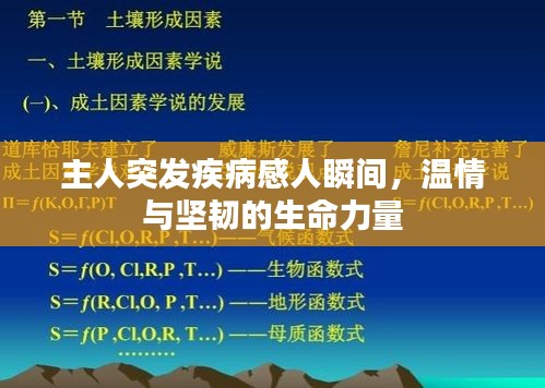主人突发疾病感人瞬间，温情与坚韧的生命力量