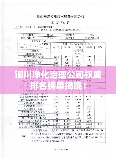 铜川净化治理公司权威排名榜单揭晓！