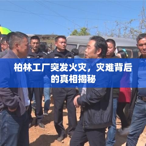 柏林工厂突发火灾，灾难背后的真相揭秘