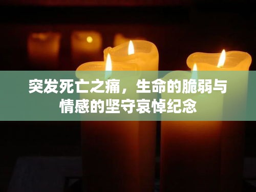 突发死亡之痛，生命的脆弱与情感的坚守哀悼纪念