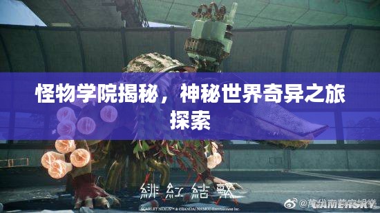 怪物学院揭秘，神秘世界奇异之旅探索