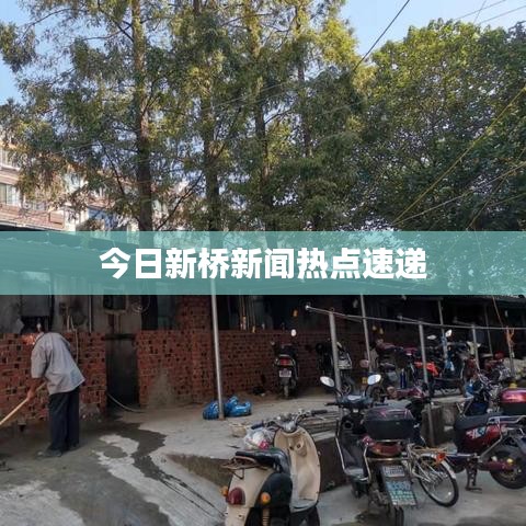 今日新桥新闻热点速递