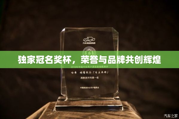 独家冠名奖杯，荣誉与品牌共创辉煌