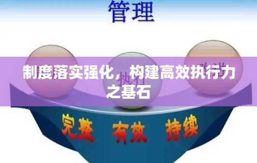 制度落实强化，构建高效执行力之基石