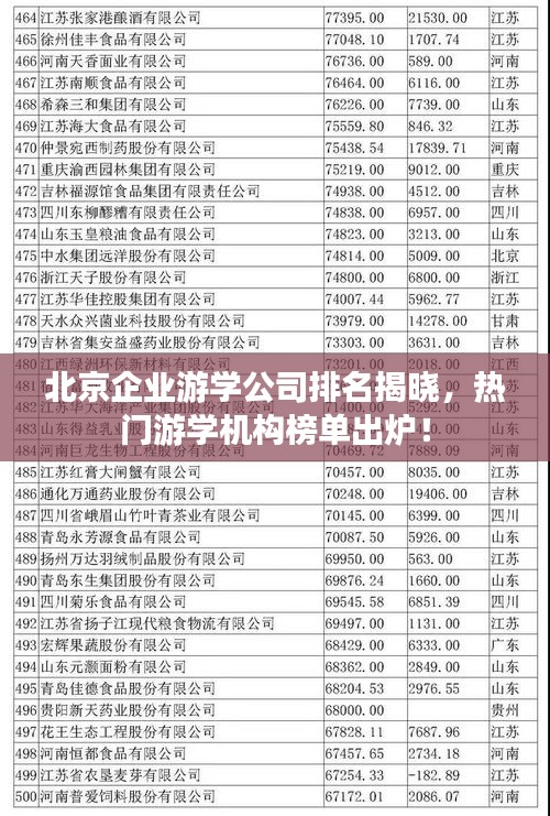 北京企业游学公司排名揭晓，热门游学机构榜单出炉！